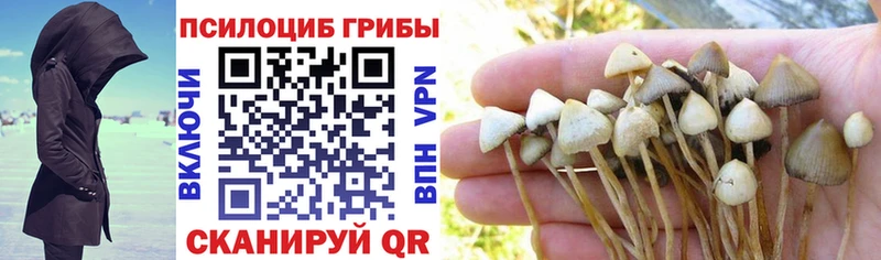 Псилоцибиновые грибы MAGIC MUSHROOMS Катайск
