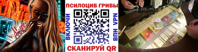 Галлюциногенные грибы Psilocybe  Катайск 